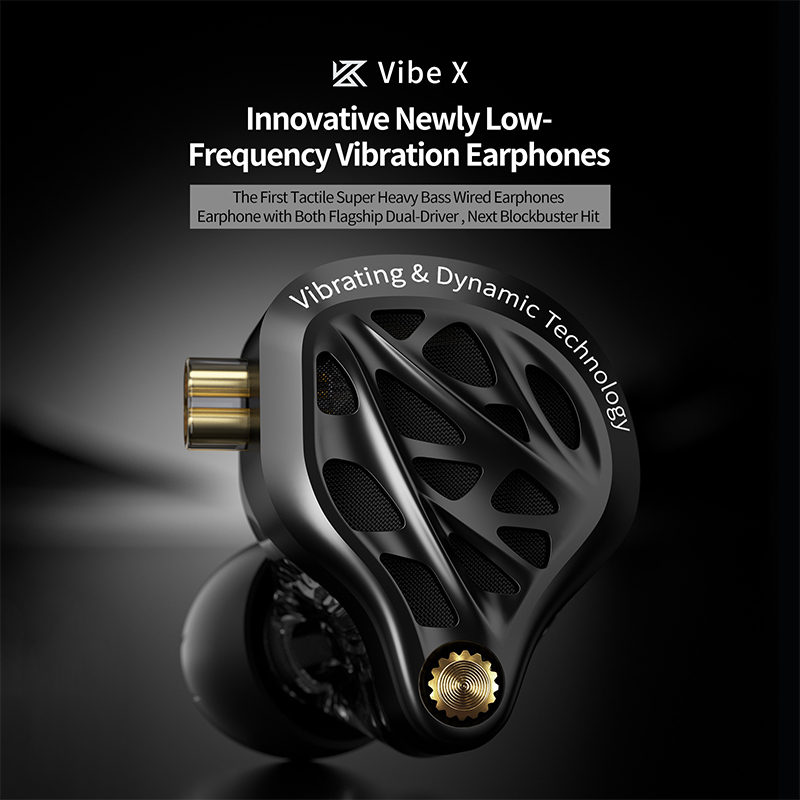 KZ Vibe X インイヤーイヤホン 低周波振動 HiFi - Audio Vibes Music のレビューと価格