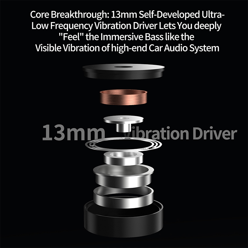 KZ NEW Vibe X 低周波振動イヤホン HiFi I - Audio Vibes Music のレビューと価格